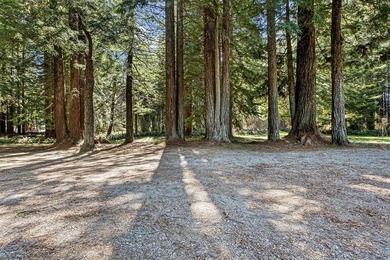Versatile country property on 2.49 acres surrounded by beautiful - photo 40