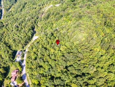 Norris Lake access "¢ 3.39 wooded acres - photo 16