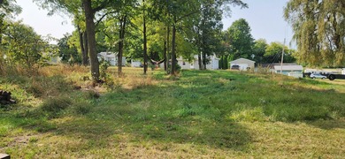 White River Lot For Sale in Hesperia Michigan