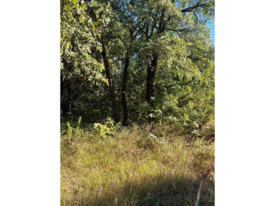 Lake Lot For Sale in Valley View, Texas