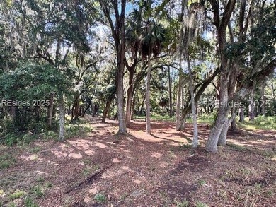 (private lake, pond, coastal) Lot For Sale in Bluffton South Carolina