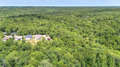 BELLA VISTA! DOUBLE LOTS! Welcome to 24 Kirby Dr., a stunning - photo 29