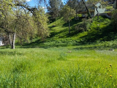 Lake Lot For Sale in Copperopolis, California