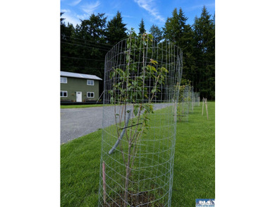 Tucked among mature trees and lovingly maintained, this inviting - photo 9