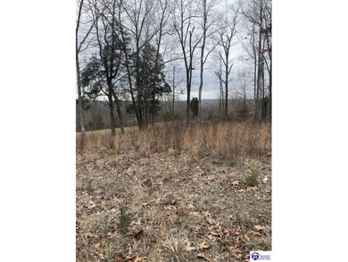 Discover a fantastic opportunity with this spacious 0.55-acre - photo 2
