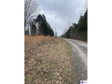 Discover a fantastic opportunity with this spacious 0.55-acre - photo 3