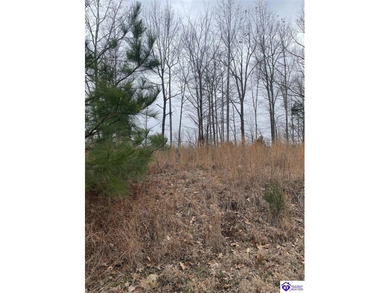 Discover a fantastic opportunity with this spacious 0.55-acre - photo 4