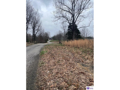 Discover a fantastic opportunity with this spacious 0.55-acre - photo 5