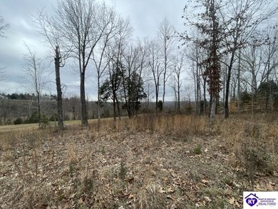 Discover a fantastic opportunity with this spacious 0.55-acre - photo 6
