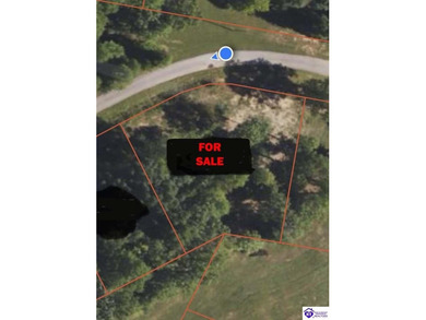 Discover a fantastic opportunity with this spacious 0.55-acre - photo 7