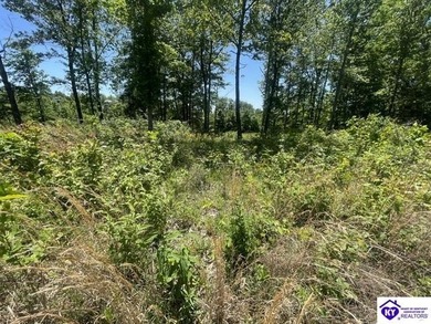 Discover a fantastic opportunity with this spacious 0.55-acre - photo 8