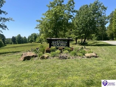 Discover a fantastic opportunity with this spacious 0.55-acre - photo 9