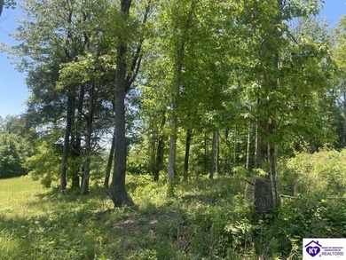 Discover a fantastic opportunity with this spacious 0.55-acre - photo 10