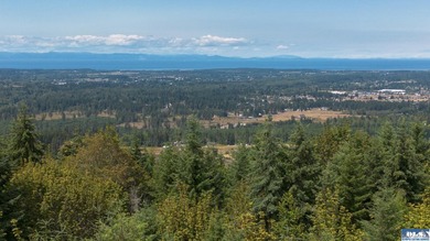 Are you looking for a secluded home on your own 19.98 acres - photo 2