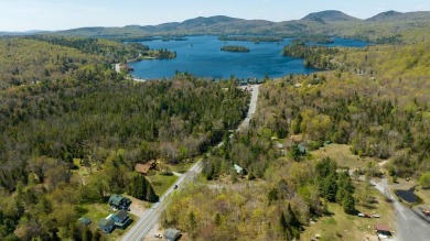 (private lake, pond, creek) Lot For Sale in Long Lake New York