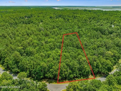 Build your dream home on this 0.68 acre residential lot located - photo 1