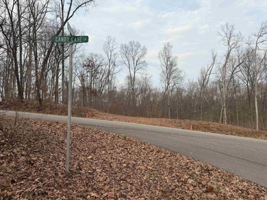 Excellent opportunity to own the perfect 2 lots to build your - photo 5