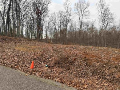 Excellent opportunity to own the perfect 2 lots to build your - photo 7