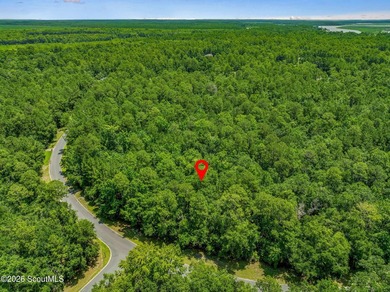 Build your dream home on this 0.68 acre residential lot located - photo 8