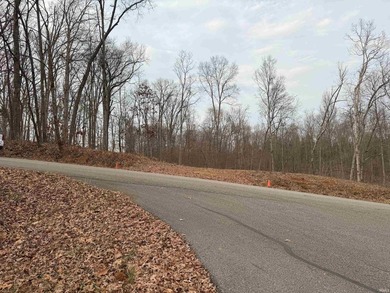 Excellent opportunity to own the perfect 2 lots to build your - photo 8