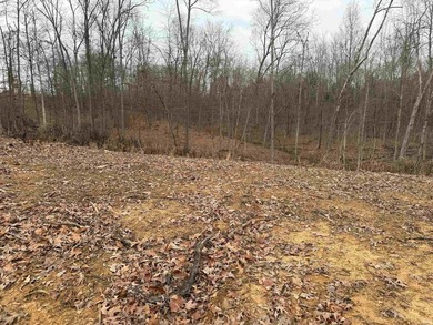 Excellent opportunity to own the perfect 2 lots to build your - photo 9