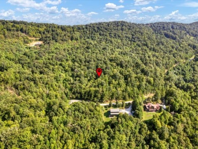 Norris Lake access "¢ 3.39 wooded acres - photo 7