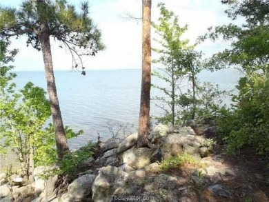 Lake Sam Rayburn  Acreage For Sale in Other Texas