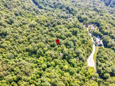 Norris Lake access "¢ 3.39 wooded acres - photo 20