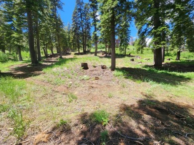 Lake Lot For Sale in Bear Valley, California