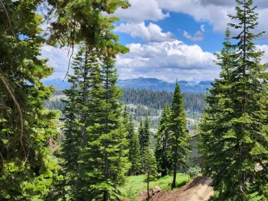 Lake Lot For Sale in Bear Valley, California