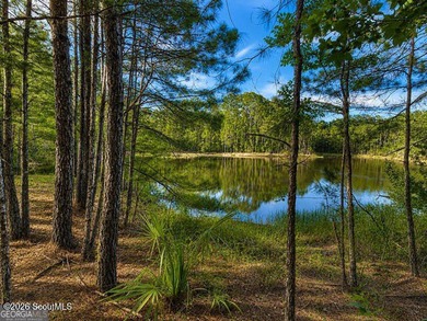 Build your dream home overlooking a beautiful pond in the - photo 1