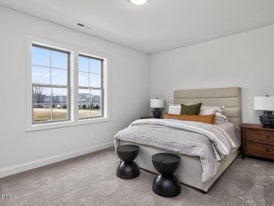 Move-In Ready! This Homes by Dickerson Townhome B (Interior) - photo 28
