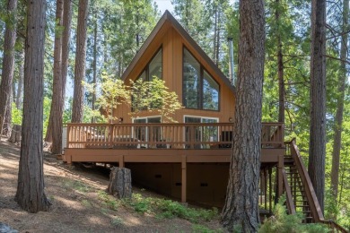 Lake Home For Sale in Arnold, California