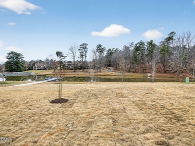 Move-In Ready! This Homes by Dickerson Townhome B (Interior) - photo 36