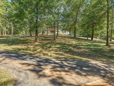 Beautiful home on Lake Pinkston. Just under 3 acres with two - photo 8