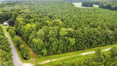 Beautiful 1 AC wooded lot in the Ware Neck section of Gloucester - photo 3