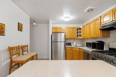 EXTRA-SPACIOUS(1336 SQFT) 2 BEDROOM/2 BATHROOM DUPLEX CONDO WITH - photo 9