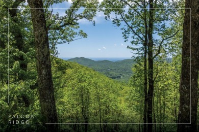 Hogback Lake Acreage For Sale in Sapphire North Carolina