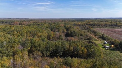 (private lake, pond, creek) Acreage Sale Pending in Palisade Minnesota