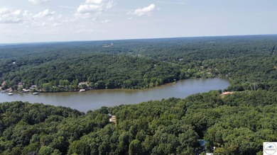 Sportsman's Paradise! This completely remodeled 2 bed, 2 full - photo 10