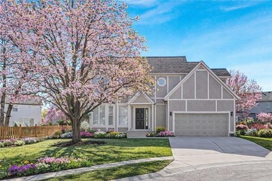 Regency Lake Home Active Under Contract in Overland Park Kansas