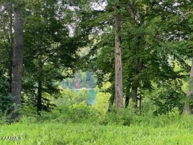 Lake view double lot for that special floorplan - wooded and - Lake Lot For Sale in Lafollette, Tennessee
