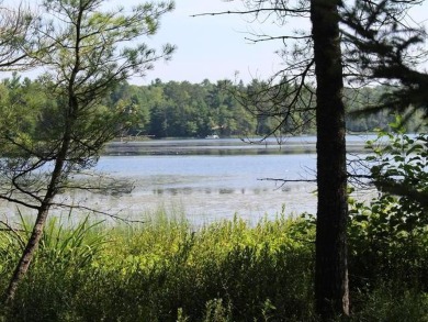(private lake, pond, creek) Acreage For Sale in Watersmeet Michigan