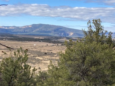 El Vado Lake Acreage For Sale in Tierra Amarilla New Mexico