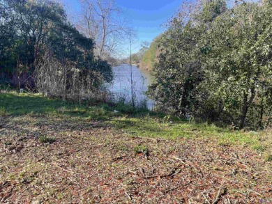 Lake Lot For Sale in Plaquemine, Louisiana
