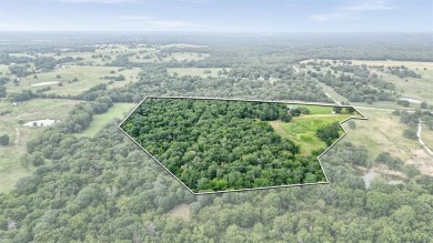 Lake Ray Roberts Acreage For Sale in Collinsville Texas