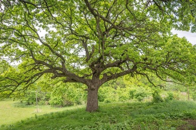 Midwest Land Group is proud to present this Elk County gem of a - photo 8