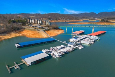 Enjoy a resort feel as you view Cherokee Lake from your living - photo 42