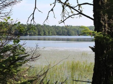 (private lake, pond, creek) Acreage For Sale in Watersmeet Michigan