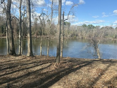 Lake Bob Sandlin Lot For Sale in Mount Pleasant Texas